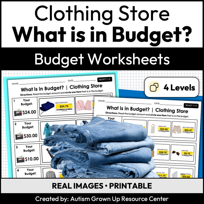 Clothing Store Budget | Life Skills Worksheets for Special Education