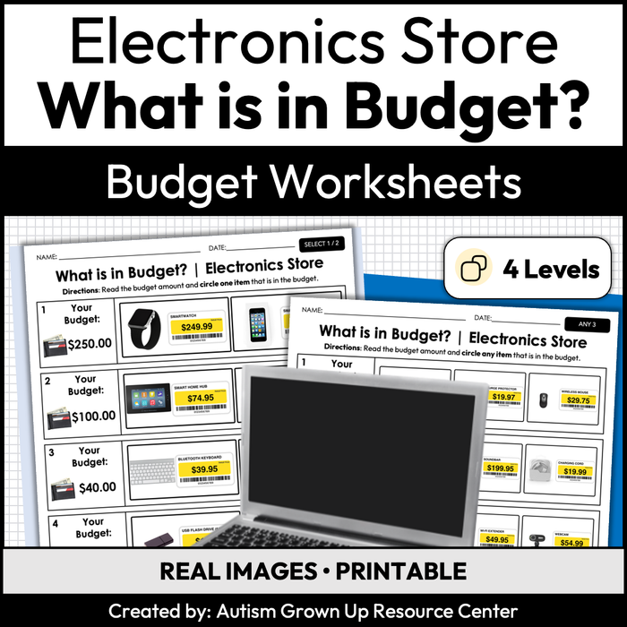 Electronics Store Budget | Life Skills Worksheets for Special Education